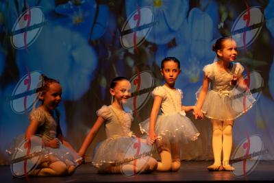 SHOW_02006.jpg